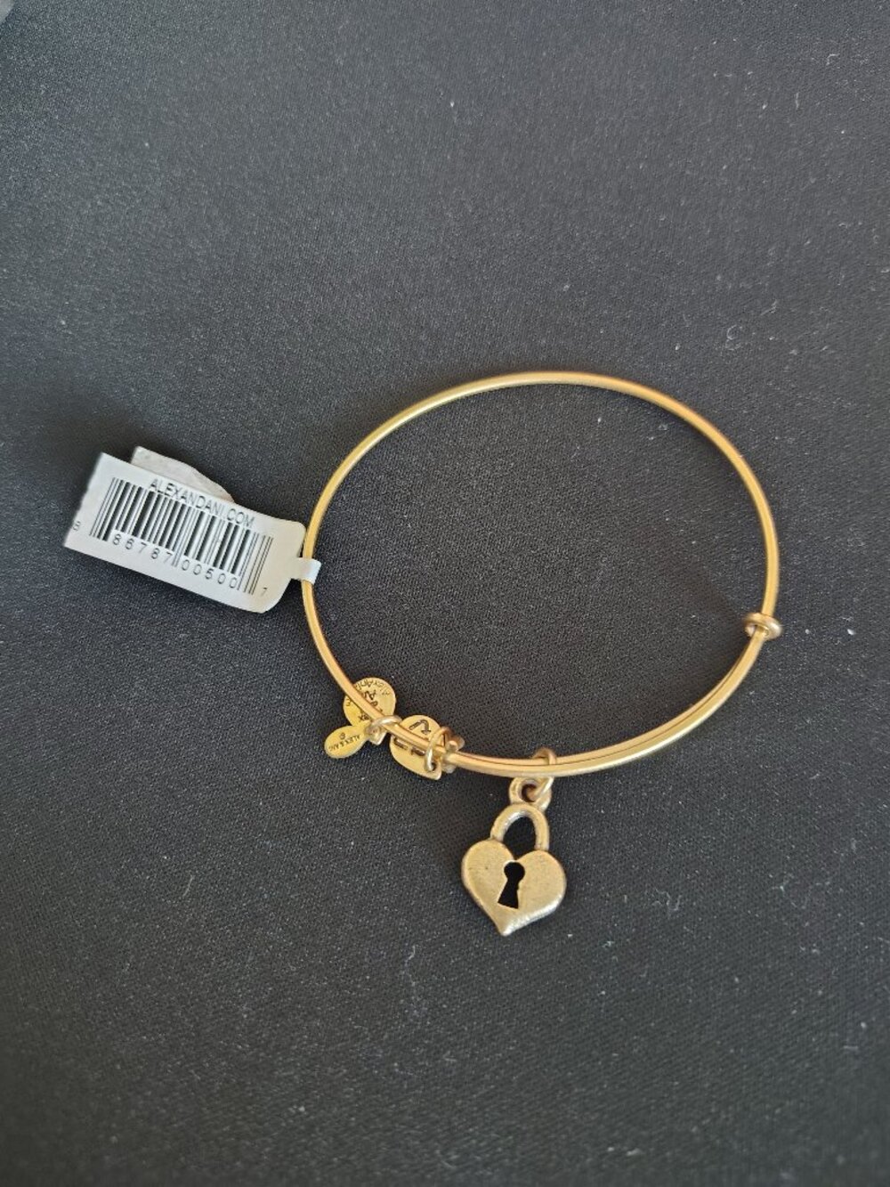 💗 Alex and Ani Heart Key to Love Lock💗Bangle New 828